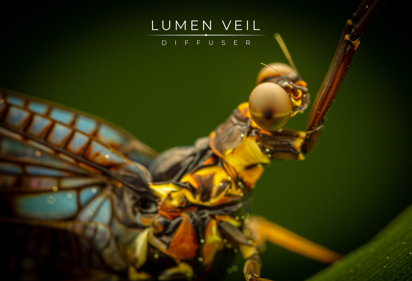 Diffuser LUMEN VEIL SIZE M (for ~60 mm)